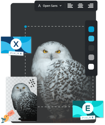 desktop-editor